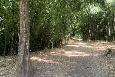 ツーリストアパートメント La Magnanerie Appartement St Ambroix