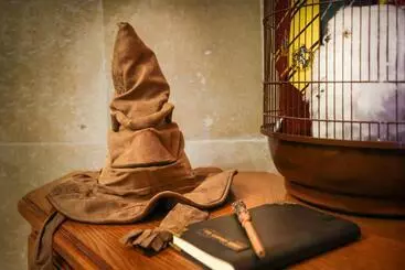 Apartamentos turísticos Harry Potter   Le Logis Du Petit Sorcier   Clim