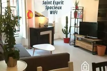 ツーリストアパートメント Ogi Ona T3 Au Coeur De Saint Esprit