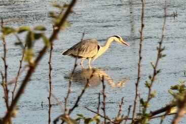 דירות לתיירים Bungalow Fully Renovated 2022 Close To Slob Lands And Beach