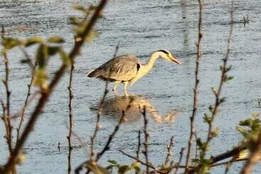 Appartamenti turistici Bungalow Fully Renovated 2022 Close To Slob Lands And Beach