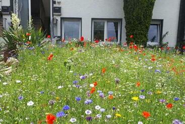 游客公寓 Ferienwohnung 43qm Torf 10 Nähe Möhnesee