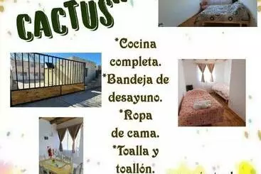 Turistihuoneistot Los Cactus