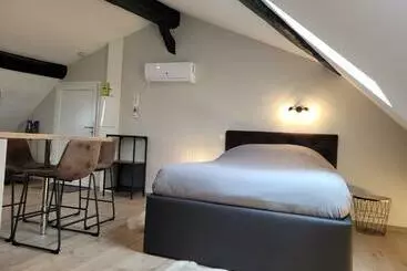 ツーリストアパートメント Studio Au Centre Ville