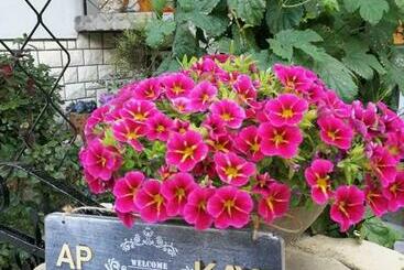 Жильё для туристов Apartment Kaya