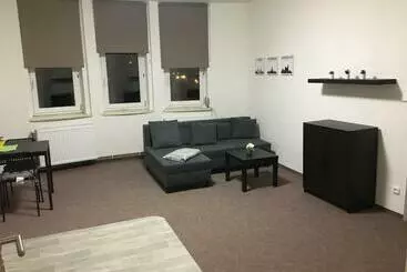 Apartamentos turísticos Apartmány U Muzea