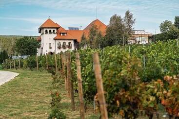 Casa Timis Wellness & Spa Resort