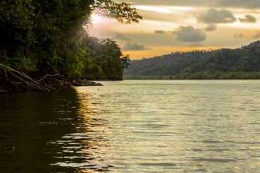 호텔 Isla Violin Eco Lodge