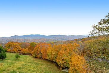 Отель Vista Beech Retreat