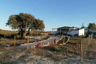 Monte Beatriz