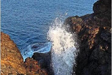 Majatalo White Queen Residence