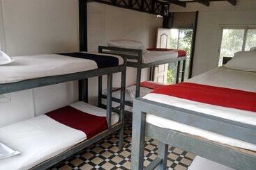 Oxygen Rainforest Resort