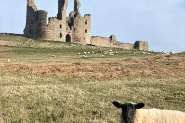 Bed and Breakfast Crastercarr