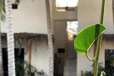 Hotell Boutique Can Cocal El Cuyo