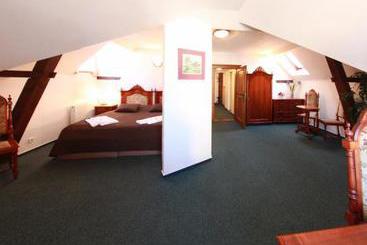 בית מלון כפרי Zlatý Kohout