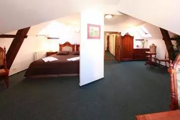 호텔 Zlatý Kohout