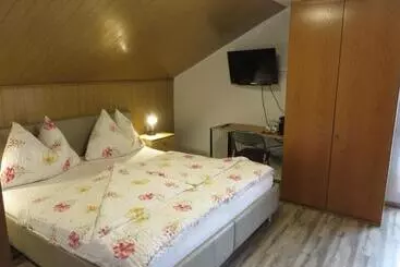Bed and Breakfast Haus Elena
