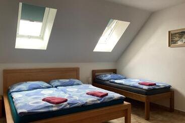 アパートホテル Apartmány S Klimatizací   Penzion U Kudláčků Pouzdřany