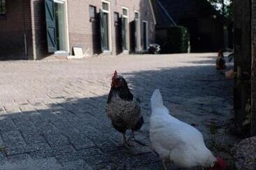 Bed and Breakfast Onder De Appelboom