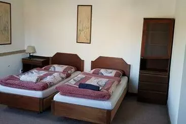 Aamiaismajoitus (B&B) Penzion Cerny Mlyn Sokolov
