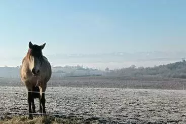 Majatalo Domaine De Buffevent