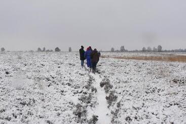 Bed and Breakfast Stichting Veenloopcentrum Weiteveen