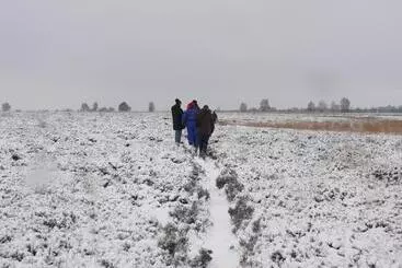 ベッドアンドブレックファースト Stichting Veenloopcentrum Weiteveen