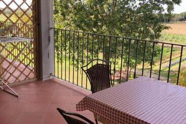 Il Grano Di Bramante