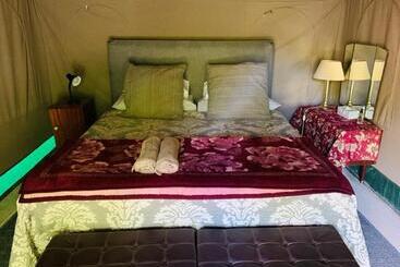 Sanctuary Guest & Adventure Farm