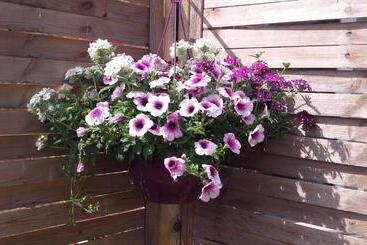 Bed and Breakfast Les Muches