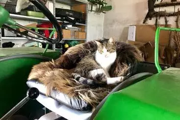 Bed & Breakfast Chez Lips