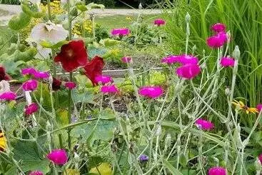 Hotelli The Farmstand Bed & Breakfast