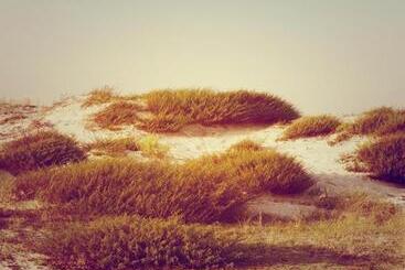 Le Grand Hotel De La Plage