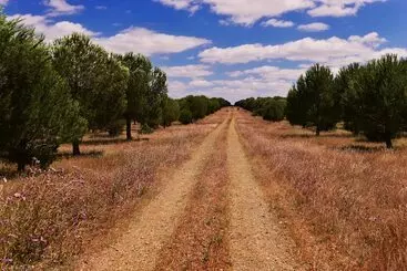 Hotel Sesmarias Turismo Rural & Spa