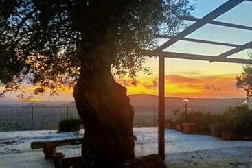 ペンション Il Colle Degli Ulivi