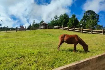 Bed and Breakfast Reel Place