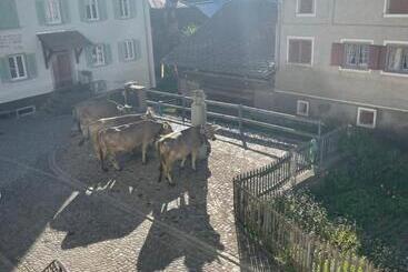 Bed and Breakfast Gasthaus Beverin