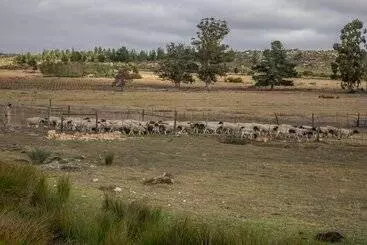 Shanzeley Guest House