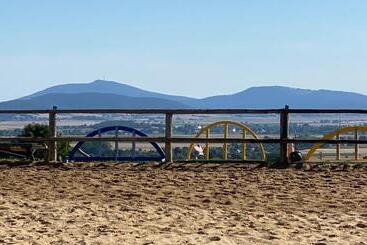 민박 Willa Justynka