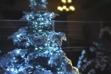 リゾートホテル Mevo Apartament