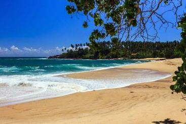 Pension (Hôtel basse catégorie) Ocean Dream