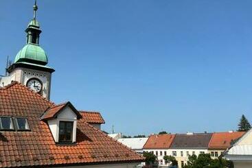 Pensjonat Penzion U Radnice