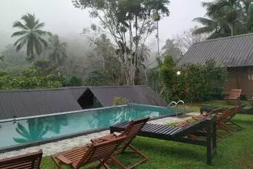 Resort Rainforest Chalets Rainforest Tours,pool And Ac