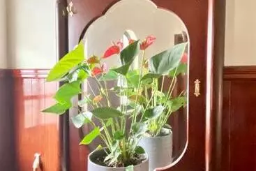 Spray B&b Sitio In Nazare, European Style