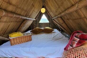 Pension Hostal Mostaza