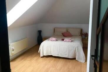 Bed and Breakfast Brasov Cucu Residence