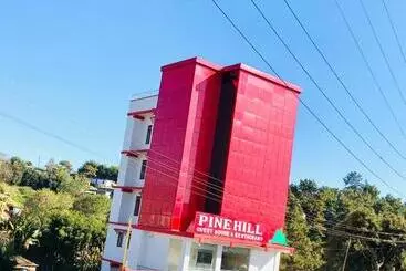 Pension  Pine Hill Comfort Stay