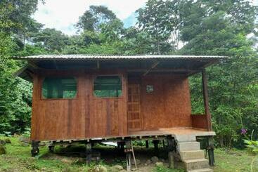 Herberge Manu Amazon Lodge