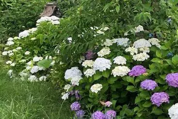 Pensió 民宿とまとハウスtomato House