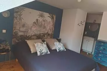 ペンション Chambre D Hôte Des Thermes